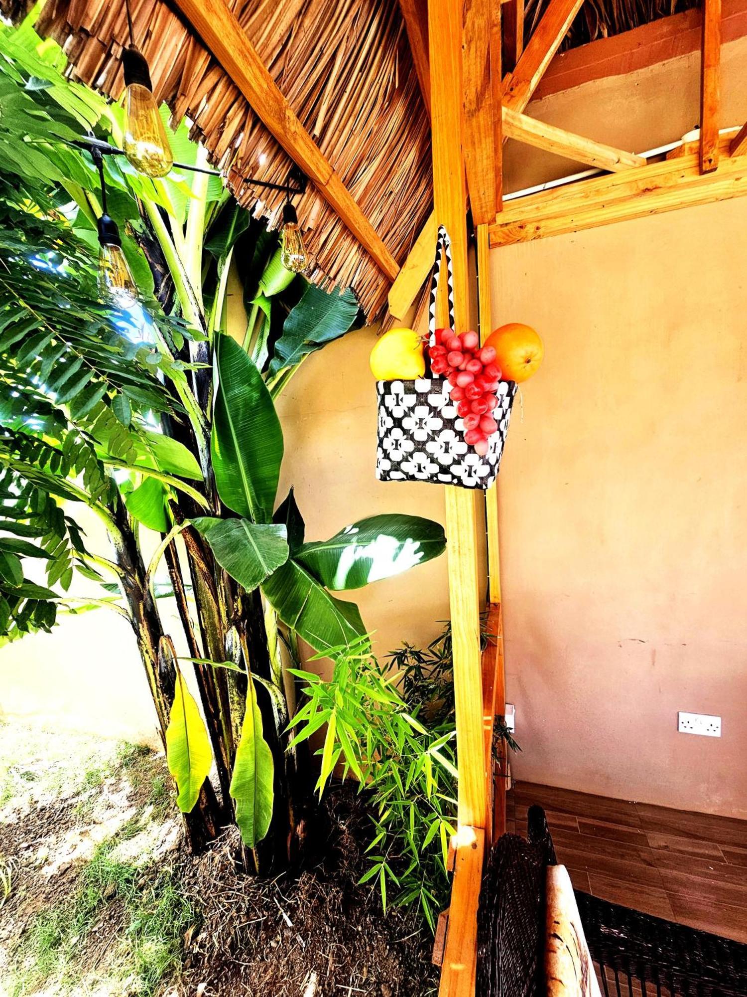 Safi House Bed and Breakfast Boma la Ngombe Εξωτερικό φωτογραφία